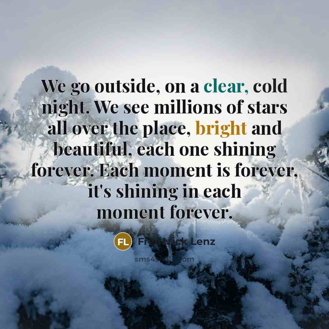 “We go outside, on a clear, cold night. We see millions of stars all over the place, bright and beautiful, each one shining forever. Each moment is forever, it's shining in each moment forever.” quote by Frederick Lenz