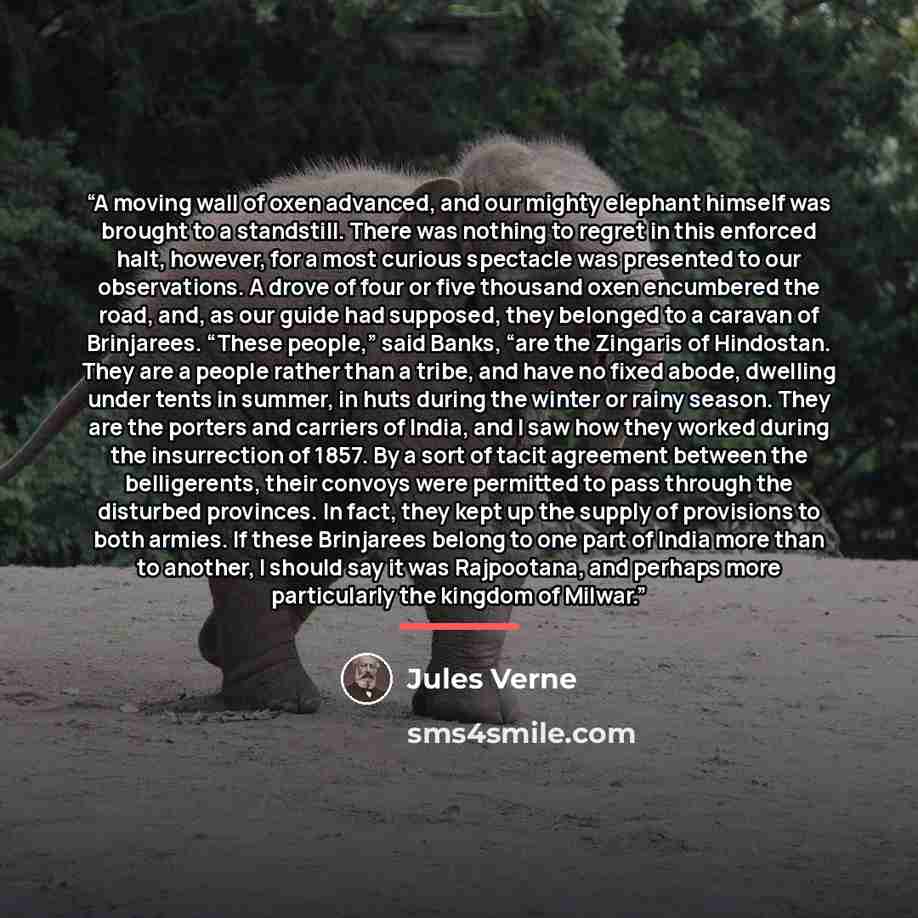 “A moving wall of oxen advanced, and our mighty elephant himself was brought to a standstill. There was nothing to regret in this enforced halt, however, for a most curious spectacle was presented to our observations. A drove of four or five thousand oxen encumbered the road, and, as our guide had…” quote by Jules Verne