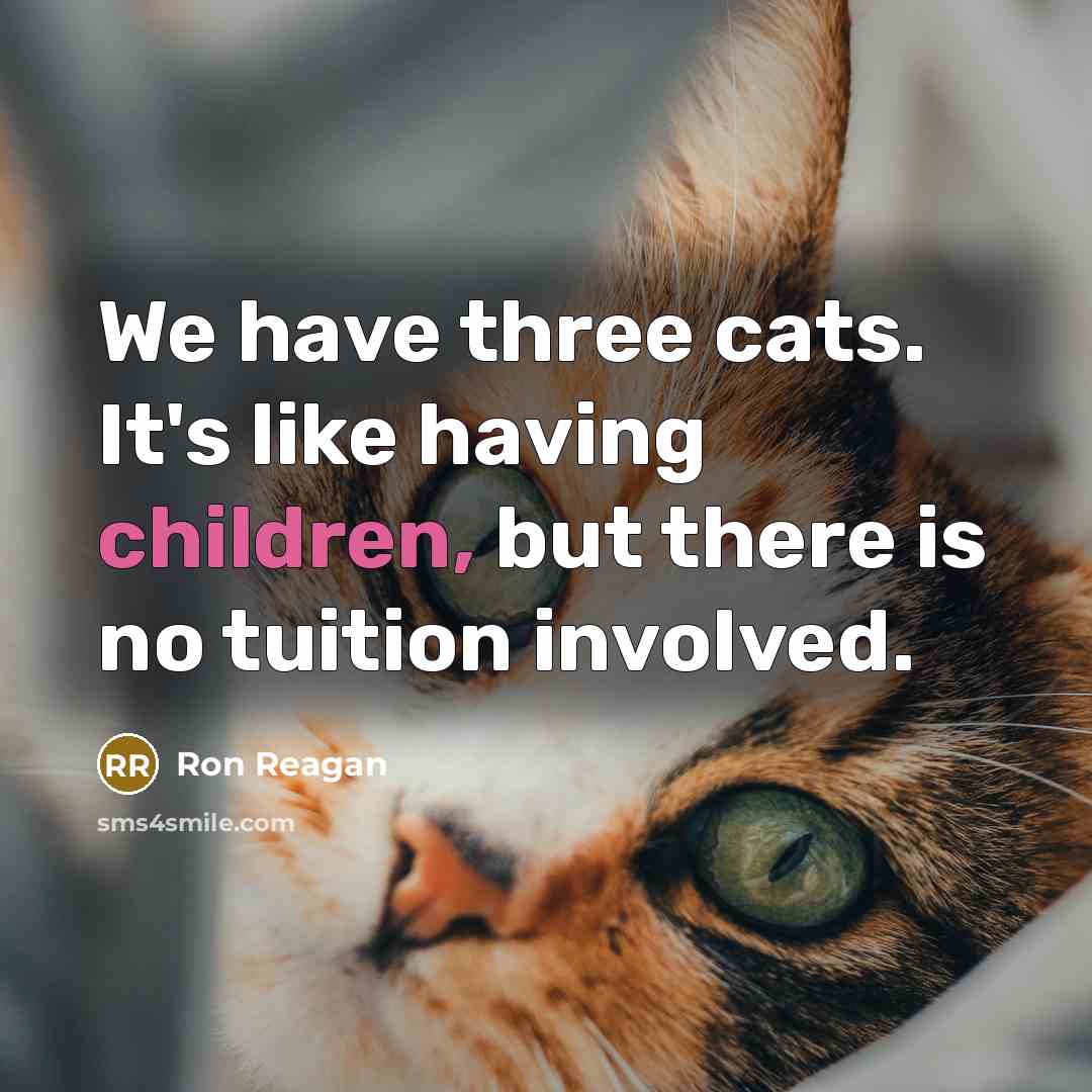 “We have three cats. It's like having children, but there is no tuition involved.” quote by Ron Reagan
