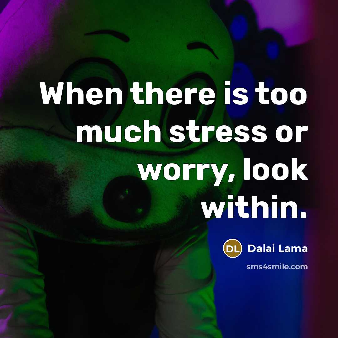 “When there is too much stress or worry, look within.” quote by Dalai Lama