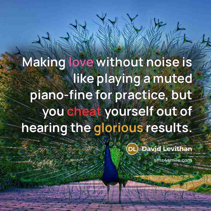 “Making love without noise is like playing a muted piano-fine for practice, but you cheat yourself out of hearing the glorious results.” quote by David Levithan