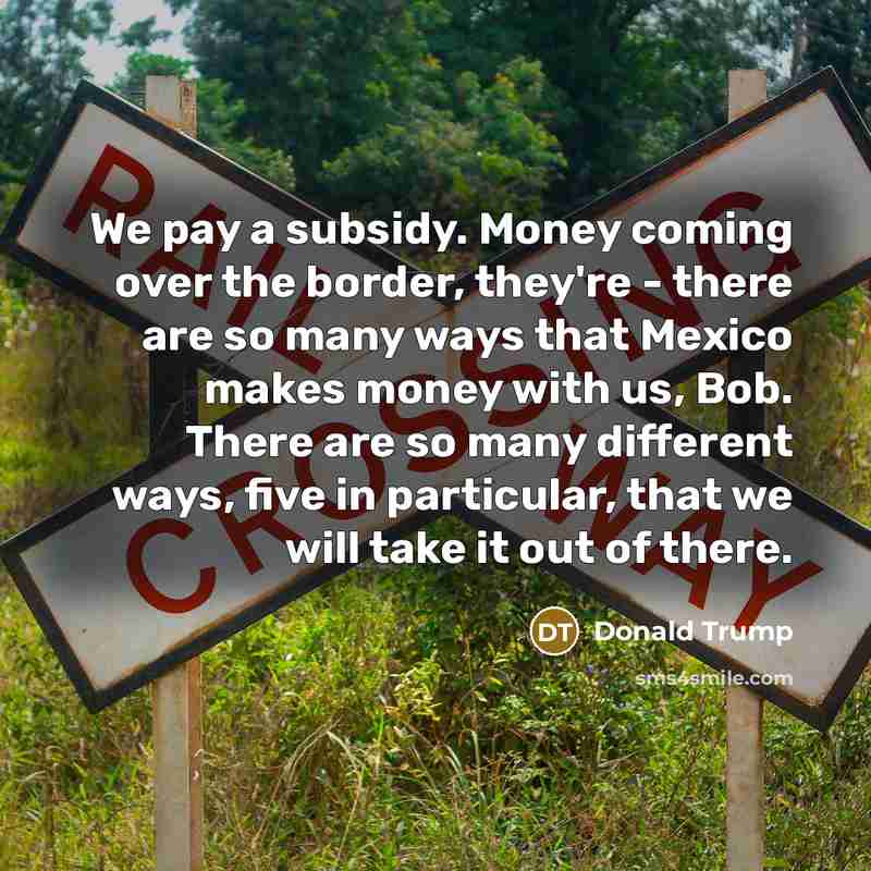 “We pay a subsidy. Money coming over the border, they're - there are so many ways that Mexico makes money with us, Bob. There are so many different ways, five in particular, that we will take it out of there.” quote by Donald Trump