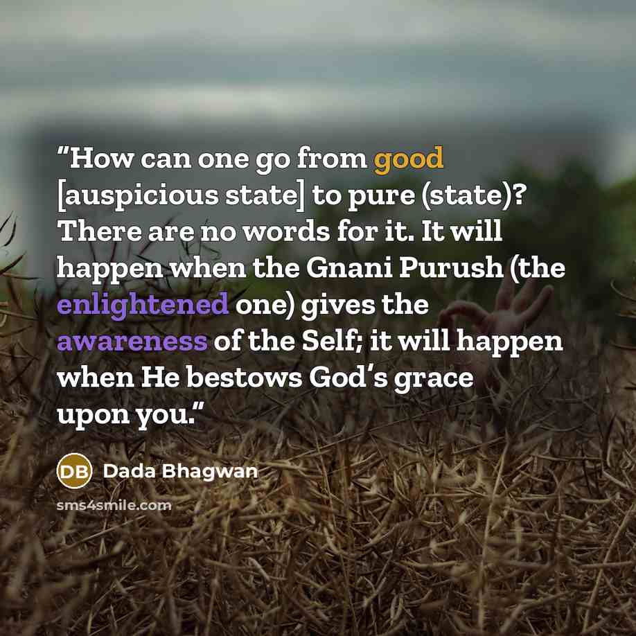 “How can one go from good [auspicious state] to pure (state)? There are no words for it. It will happen when the Gnani Purush (the enlightened one) gives the awareness of the Self; it will happen when He bestows God’s grace upon you.” quote by Dada Bhagwan