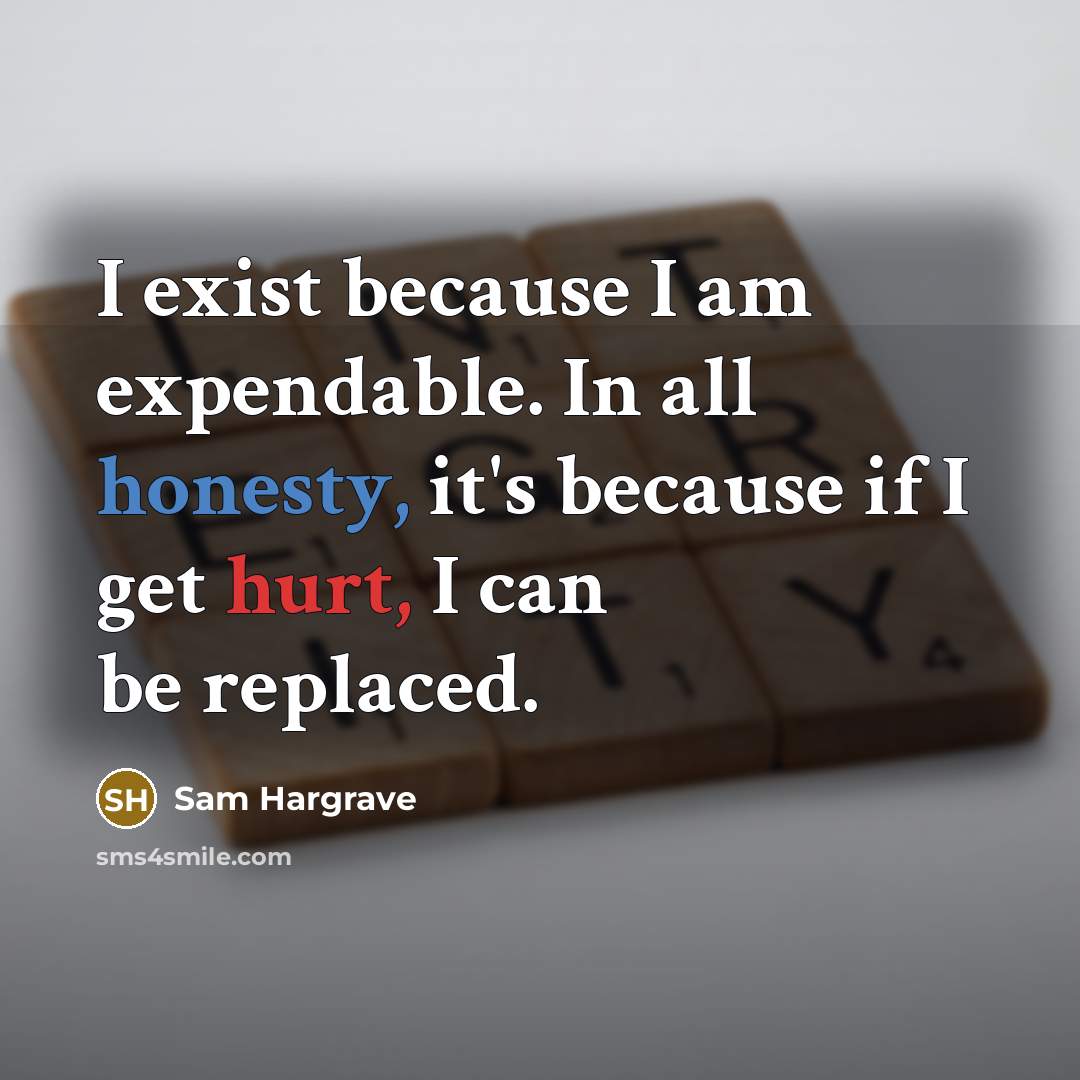 “I exist because I am expendable. In all honesty, it's because if I get hurt, I can be replaced.” quote by Sam Hargrave