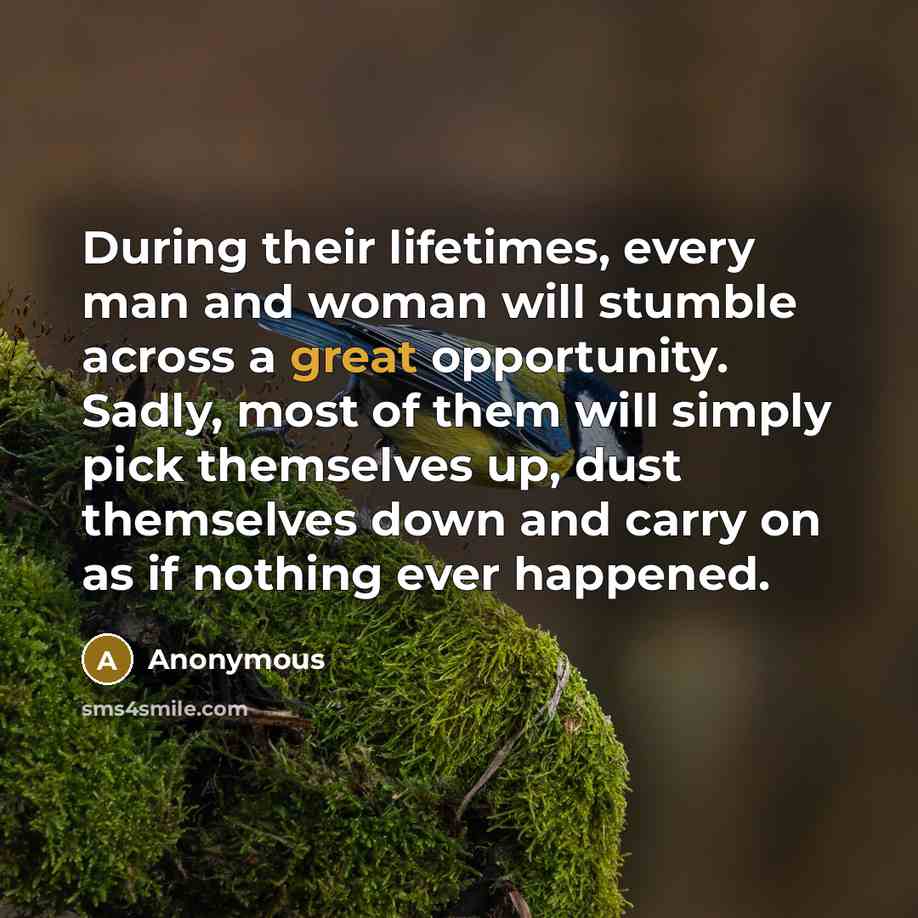 “During their lifetimes, every man and woman will stumble across a great opportunity. Sadly, most of them will simply pick themselves up, dust themselves down and carry on as if nothing ever happened.” quote by Anonymous