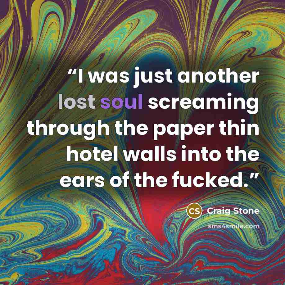 “I was just another lost soul screaming through the paper thin hotel walls into the ears of the fucked.” quote by Craig Stone