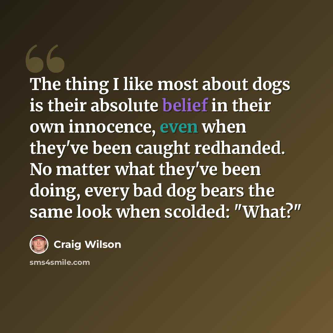 “The thing I like most about dogs is their absolute belief in their own innocence, even when they've been caught redhanded. No matter what they've been doing, every bad dog bears the same look when scolded: "What?"” quote by Craig Wilson