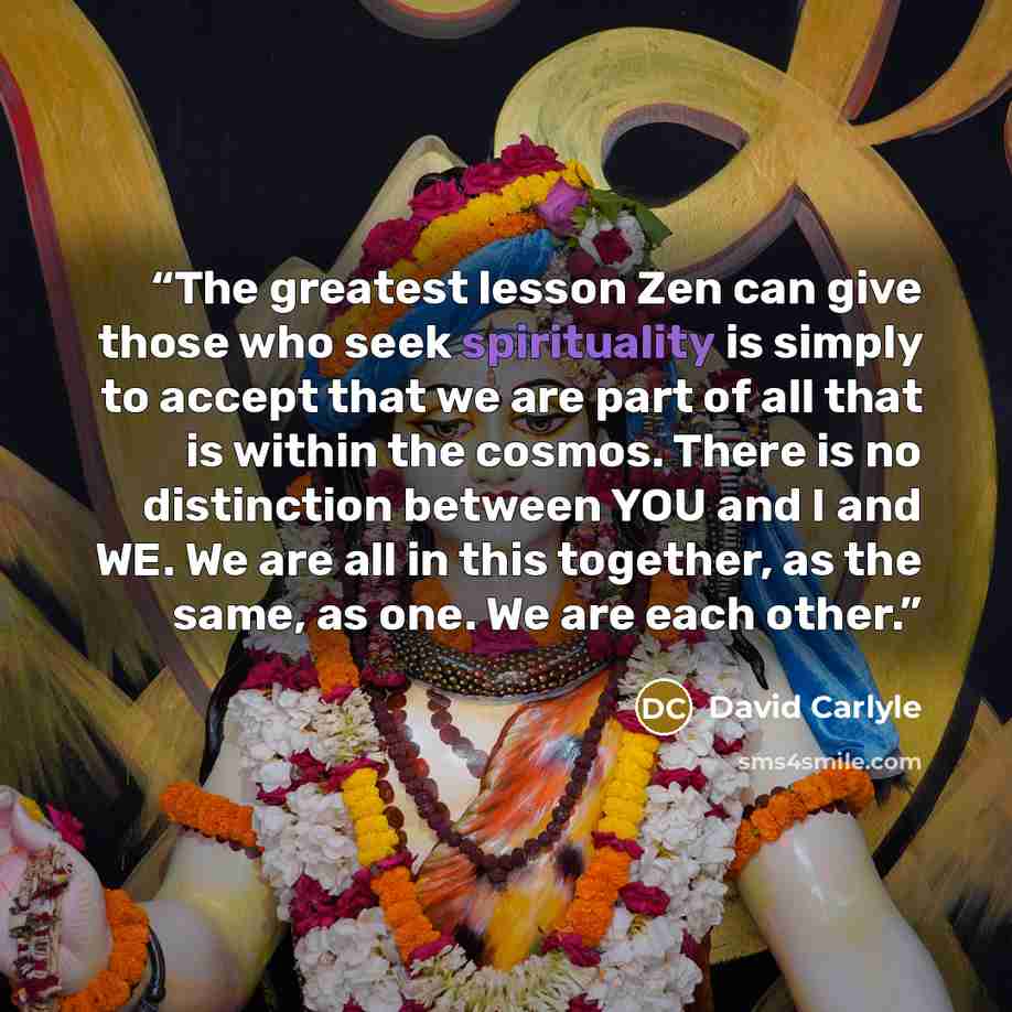 “The greatest lesson Zen can give those who seek spirituality is simply to accept that we are part of all that is within the cosmos. There is no distinction between YOU and I and WE. We are all in this together, as the same, as one. We are each other.” quote by David Carlyle