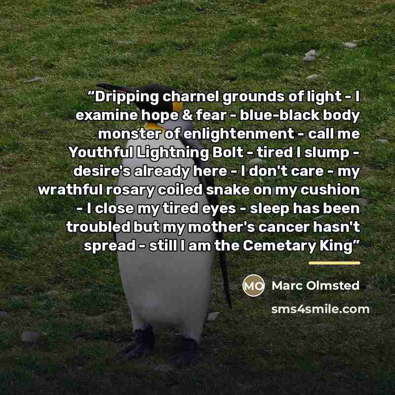“Dripping charnel grounds of light - I examine hope & fear - blue-black body monster of enlightenment - call me Youthful Lightning Bolt - tired I slump - desire's already here - I don't care - my wrathful rosary coiled snake on my cushion - I close my tired eyes - sleep has been troubled but my…” quote by Marc Olmsted