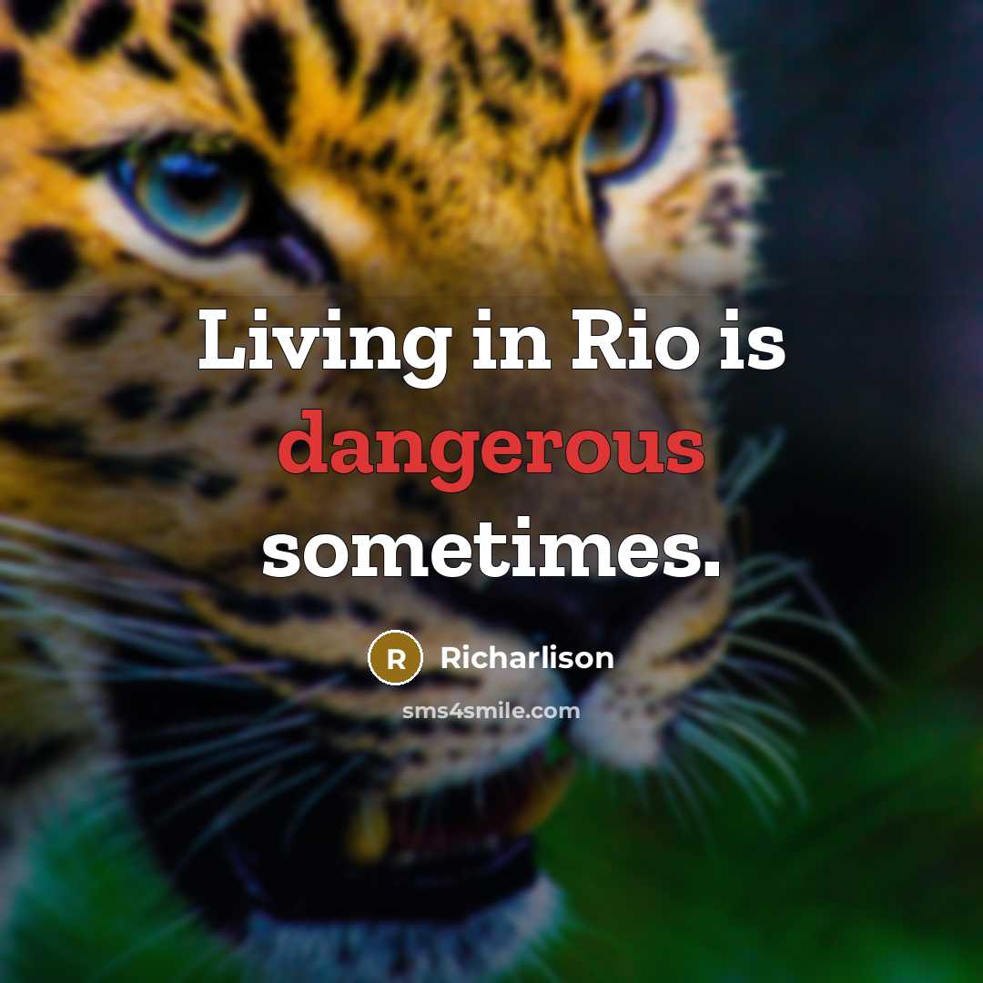 “Living in Rio is dangerous sometimes.” quote by Richarlison