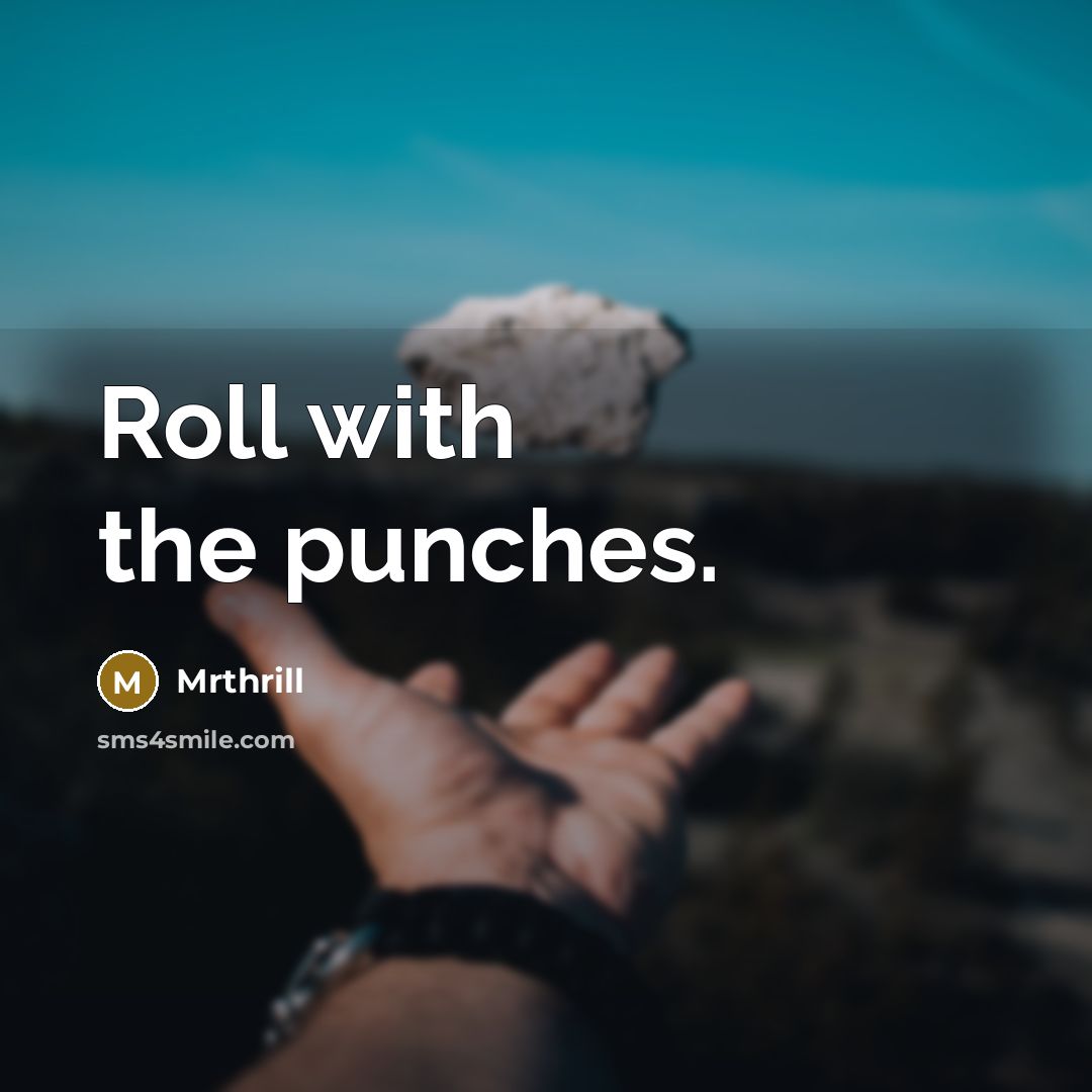 “Roll with the punches.” quote by Mrthrill