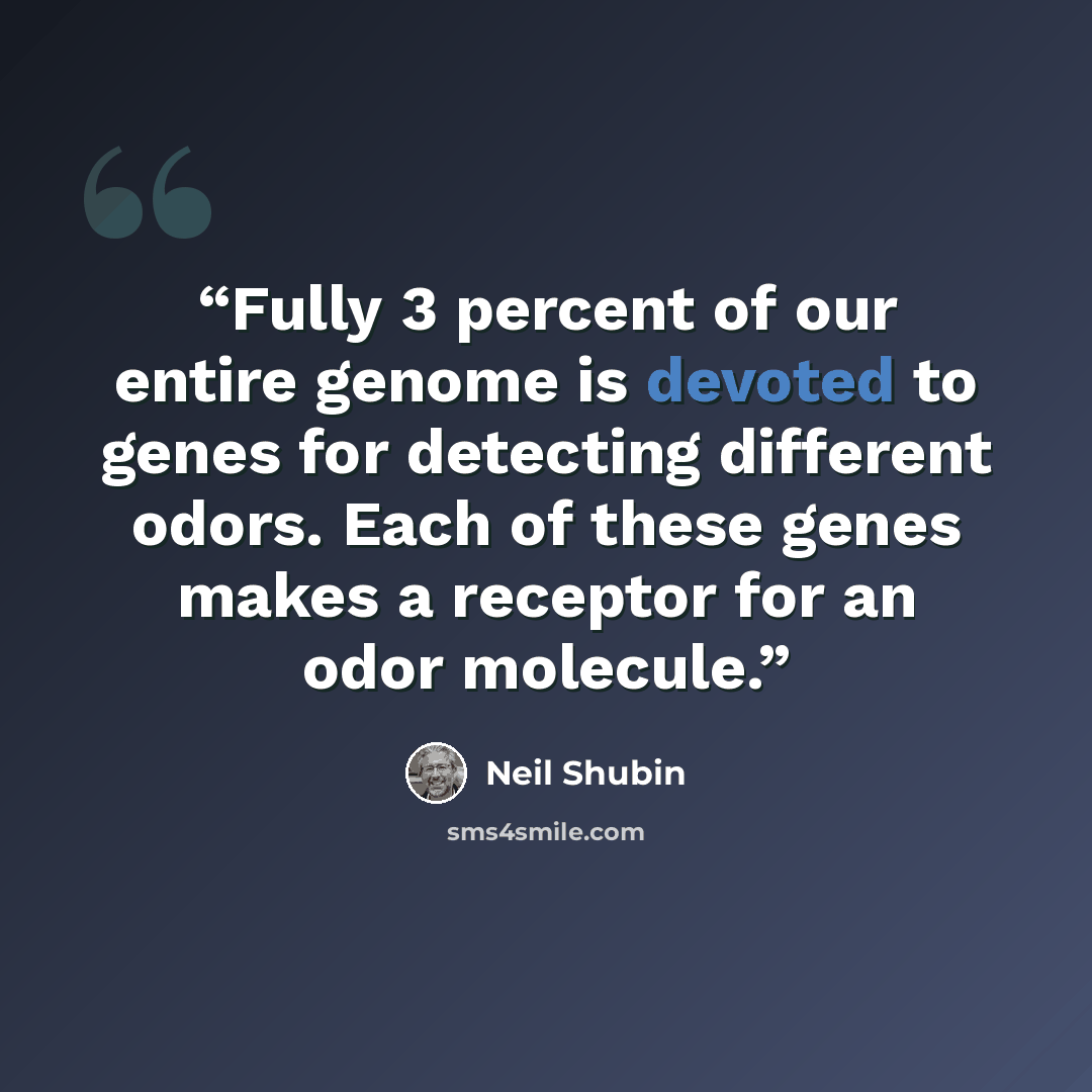 “Fully 3 percent of our entire genome is devoted to genes for detecting different odors. Each of these genes makes a receptor for an odor molecule.” quote by Neil Shubin