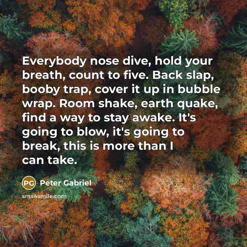 “Everybody nose dive, hold your breath, count to five. Back slap, booby trap, cover it up in bubble wrap. Room shake, earth quake, find a way to stay awake. It's going to blow, it's going to break, this is more than I can take.” quote by Peter Gabriel