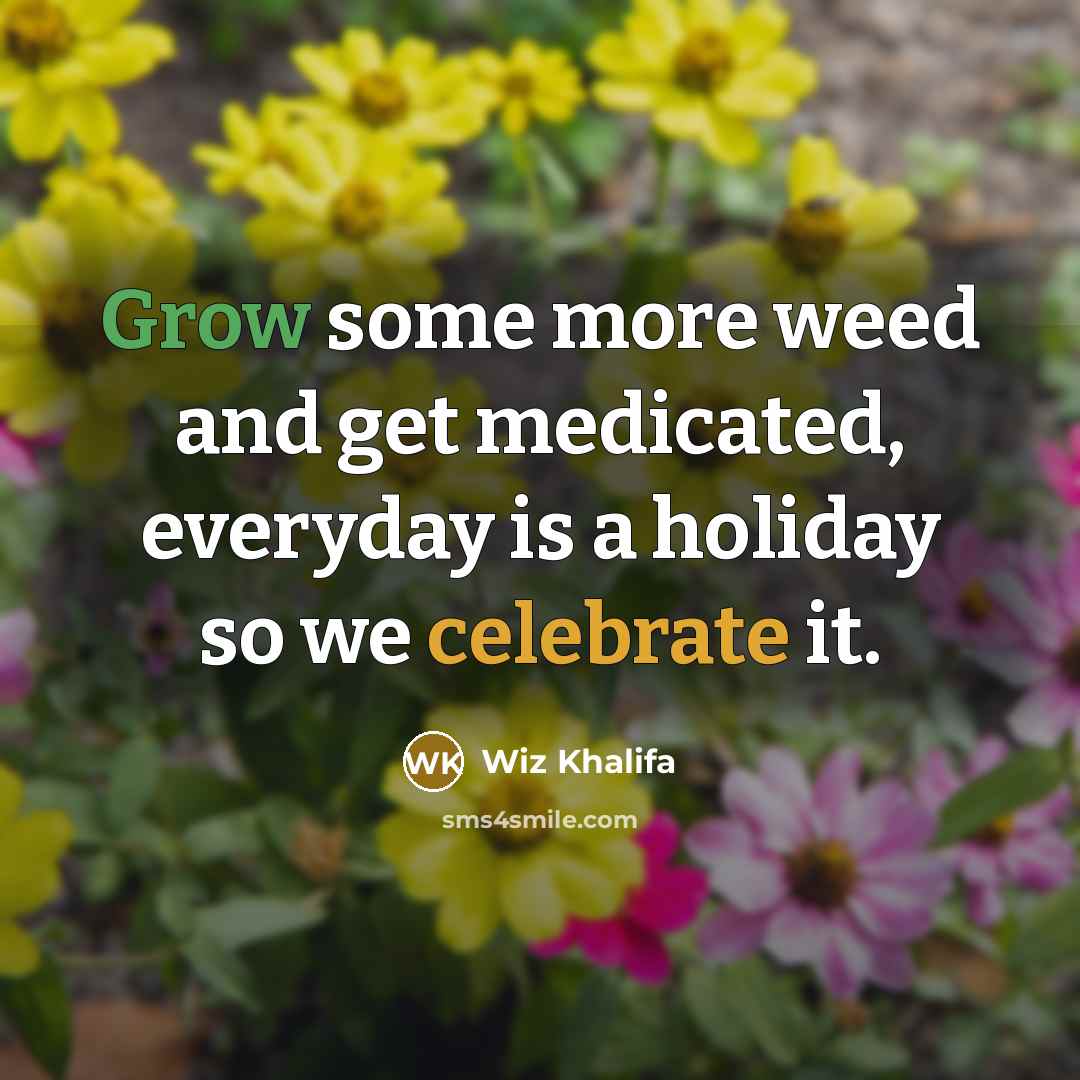 “Grow some more weed and get medicated, everyday is a holiday so we celebrate it.” quote by Wiz Khalifa