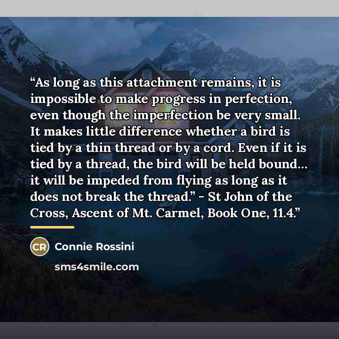 “As long as this attachment remains, it is impossible to make progress in perfection, even though the imperfection be very small. It makes little difference whether a bird is tied by a thin thread or by a cord. Even if it is tied by a thread, the bird will be held bound… it will be impeded from…” quote by Connie Rossini