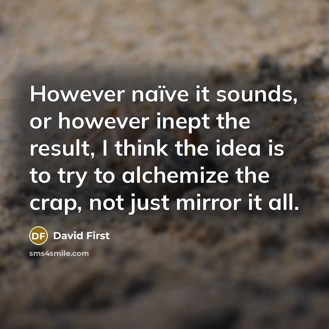 “However naïve it sounds, or however inept the result, I think the idea is to try to alchemize the crap, not just mirror it all.” quote by David First