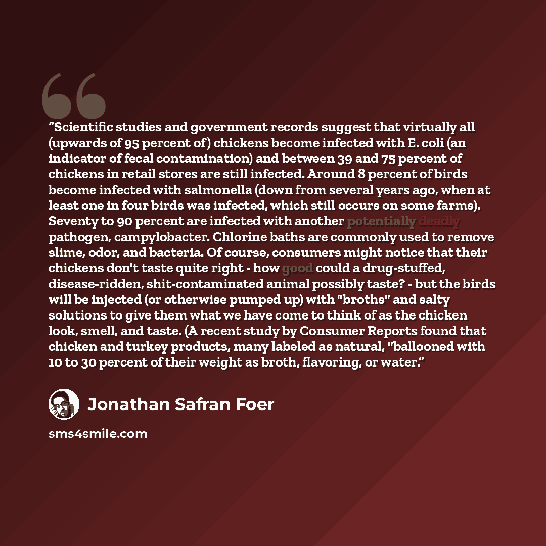 “Scientific studies and government records suggest that virtually all (upwards of 95 percent of) chickens become infected with E. coli (an indicator of fecal contamination) and between 39 and 75 percent of chickens in retail stores are still infected. Around 8 percent of birds become infected with…” quote by Jonathan Safran Foer