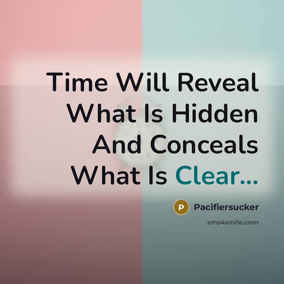 “Time Will Reveal What Is Hidden And Conceals What Is Clear...” quote by Pacifiersucker