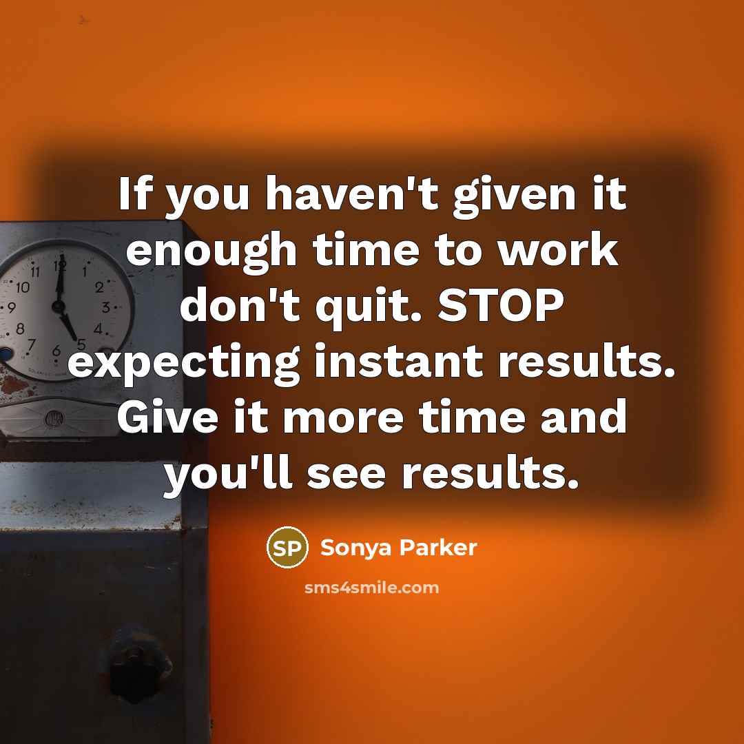 “If you haven't given it enough time to work don't quit. STOP expecting instant results. Give it more time and you'll see results.” quote by Sonya Parker