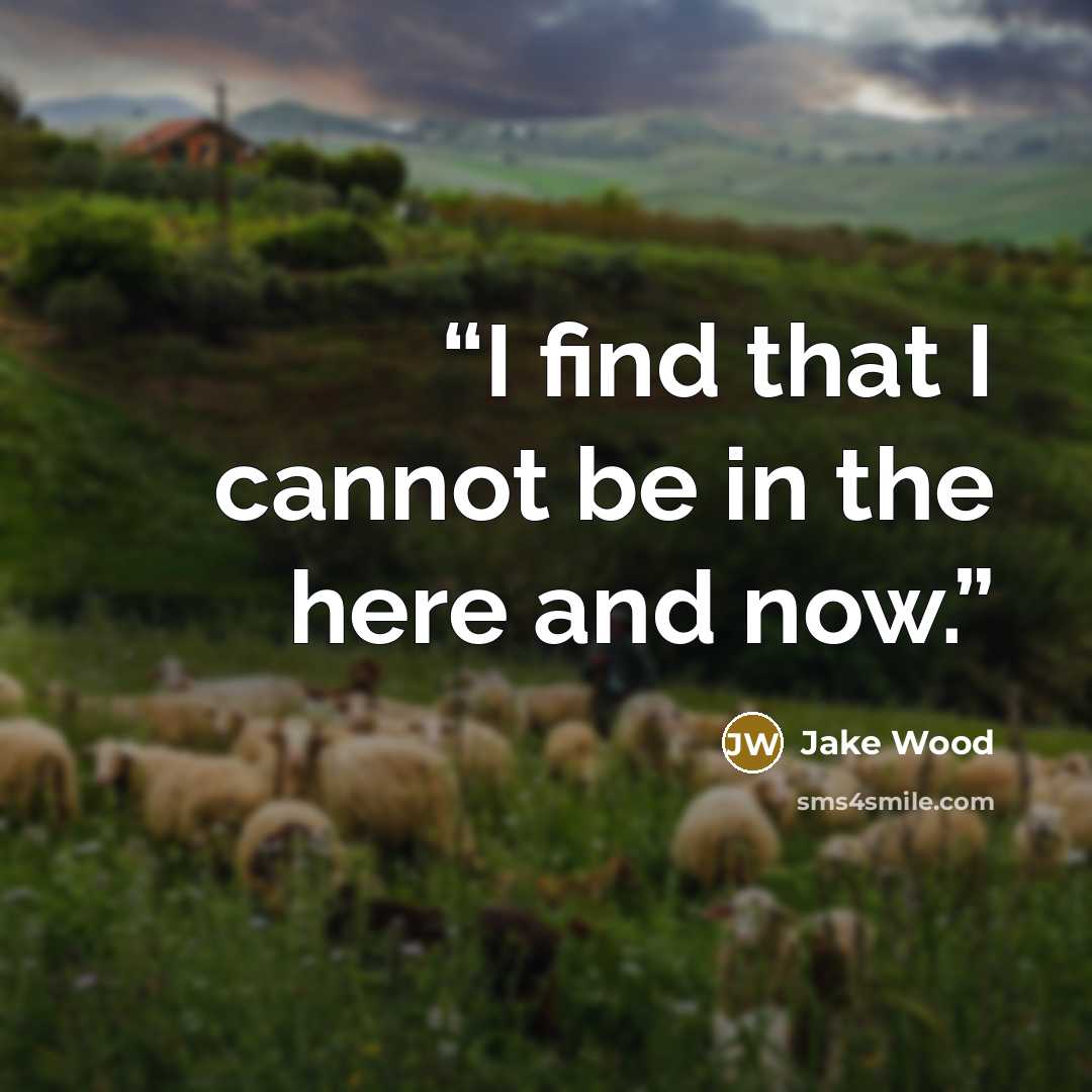 “I find that I cannot be in the here and now.” quote by Jake Wood