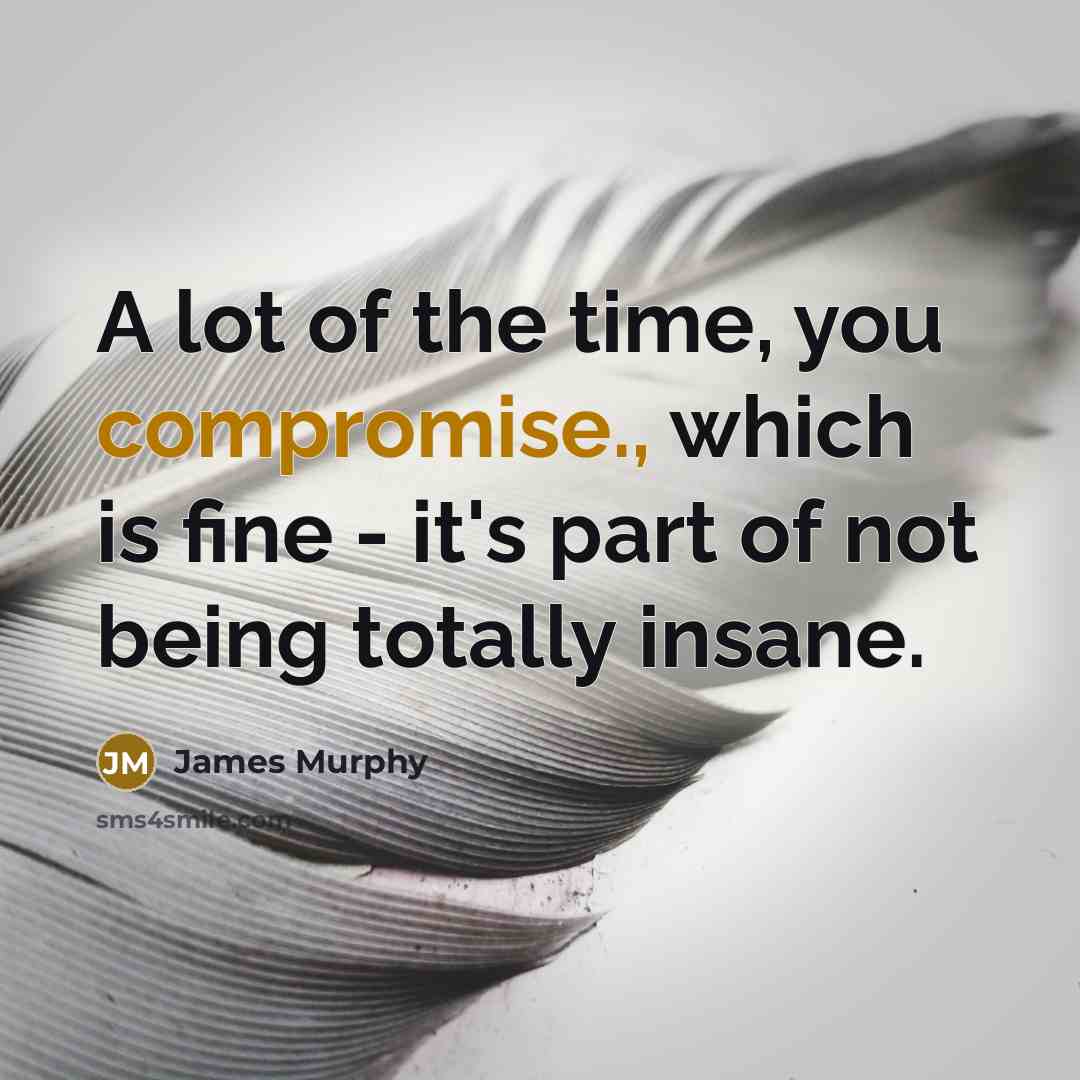 “A lot of the time, you compromise., which is fine - it's part of not being totally insane.” quote by James Murphy