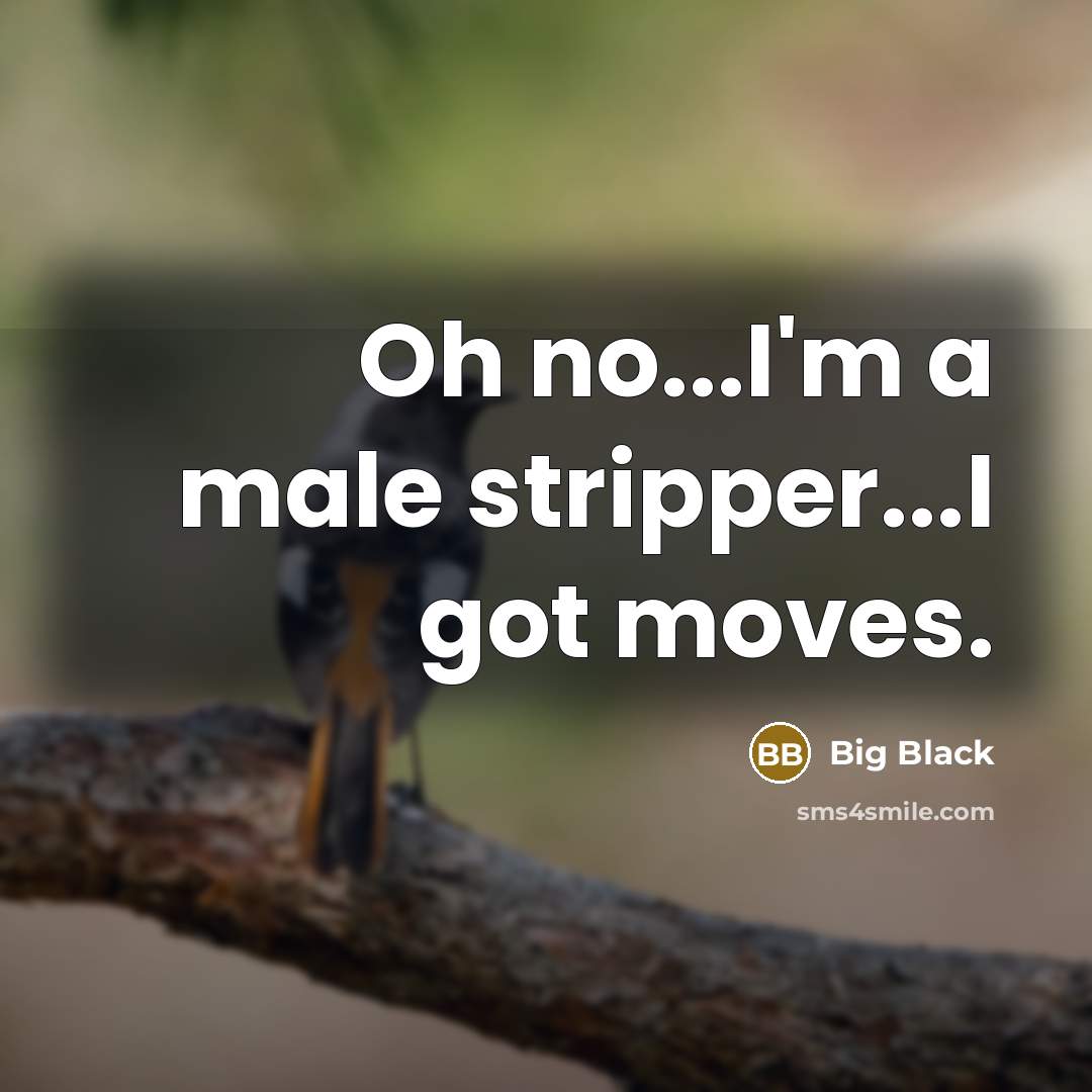“Oh no...I'm a male stripper...I got moves.” quote by Big Black