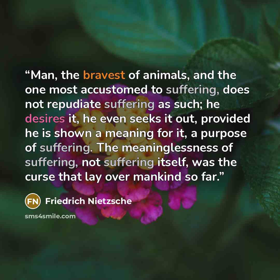 “Man, the bravest of animals, and the one most accustomed to suffering, does not repudiate suffering as such; he desires it, he even seeks it out, provided he is shown a meaning for it, a purpose of suffering. The meaninglessness of suffering, not suffering itself, was the curse that lay over…” quote by Friedrich Nietzsche