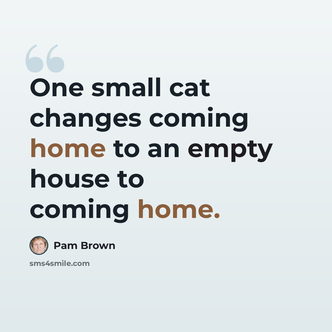 “One small cat changes coming home to an empty house to coming home.” quote by Pam Brown