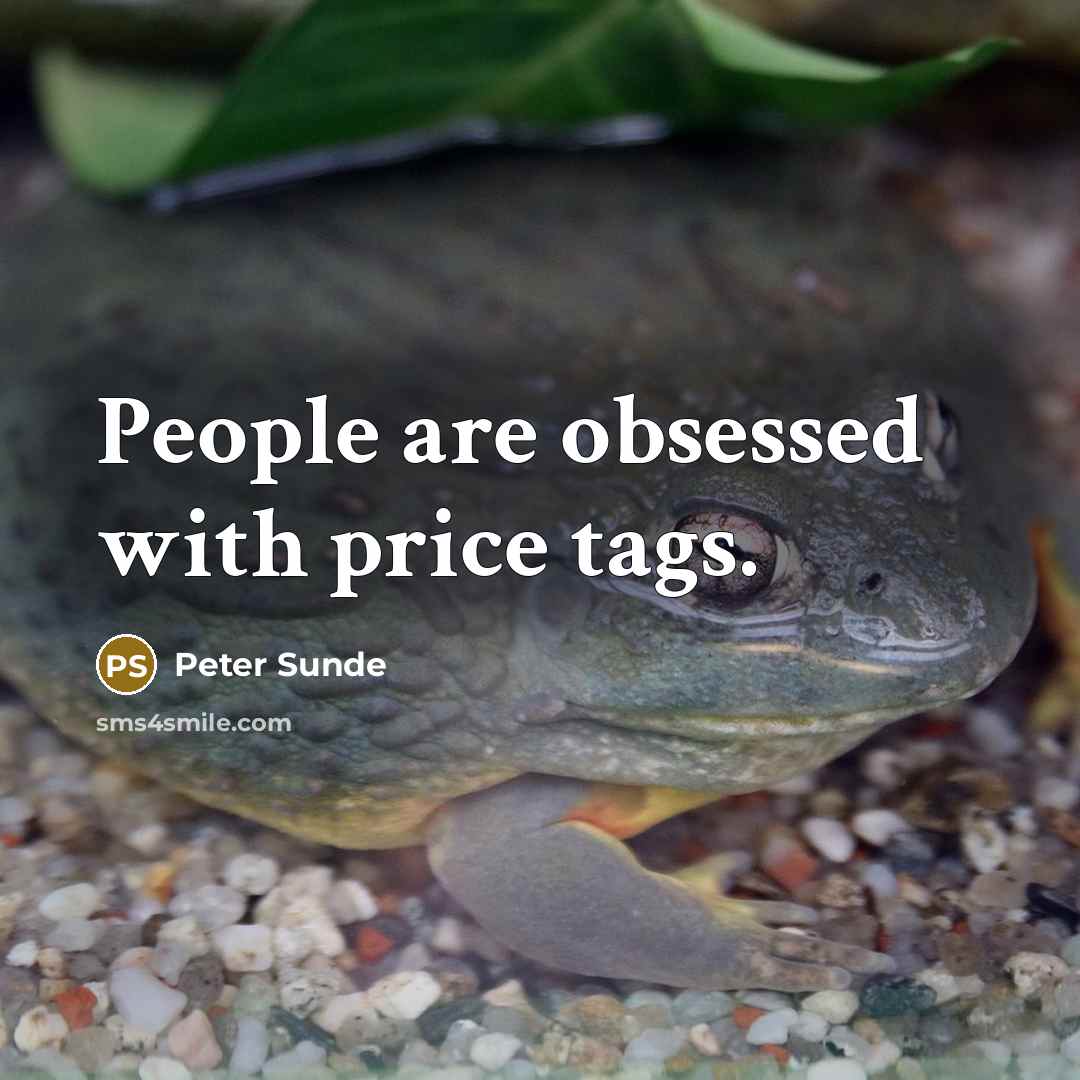 “People are obsessed with price tags.” quote by Peter Sunde