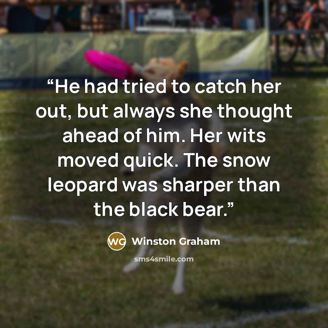 “He had tried to catch her out, but always she thought ahead of him. Her wits moved quick. The snow leopard was sharper than the black bear.” quote by Winston Graham