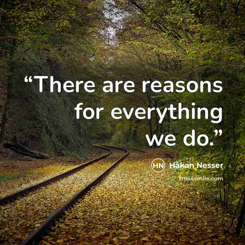 “There are reasons for everything we do.” quote by Håkan Nesser