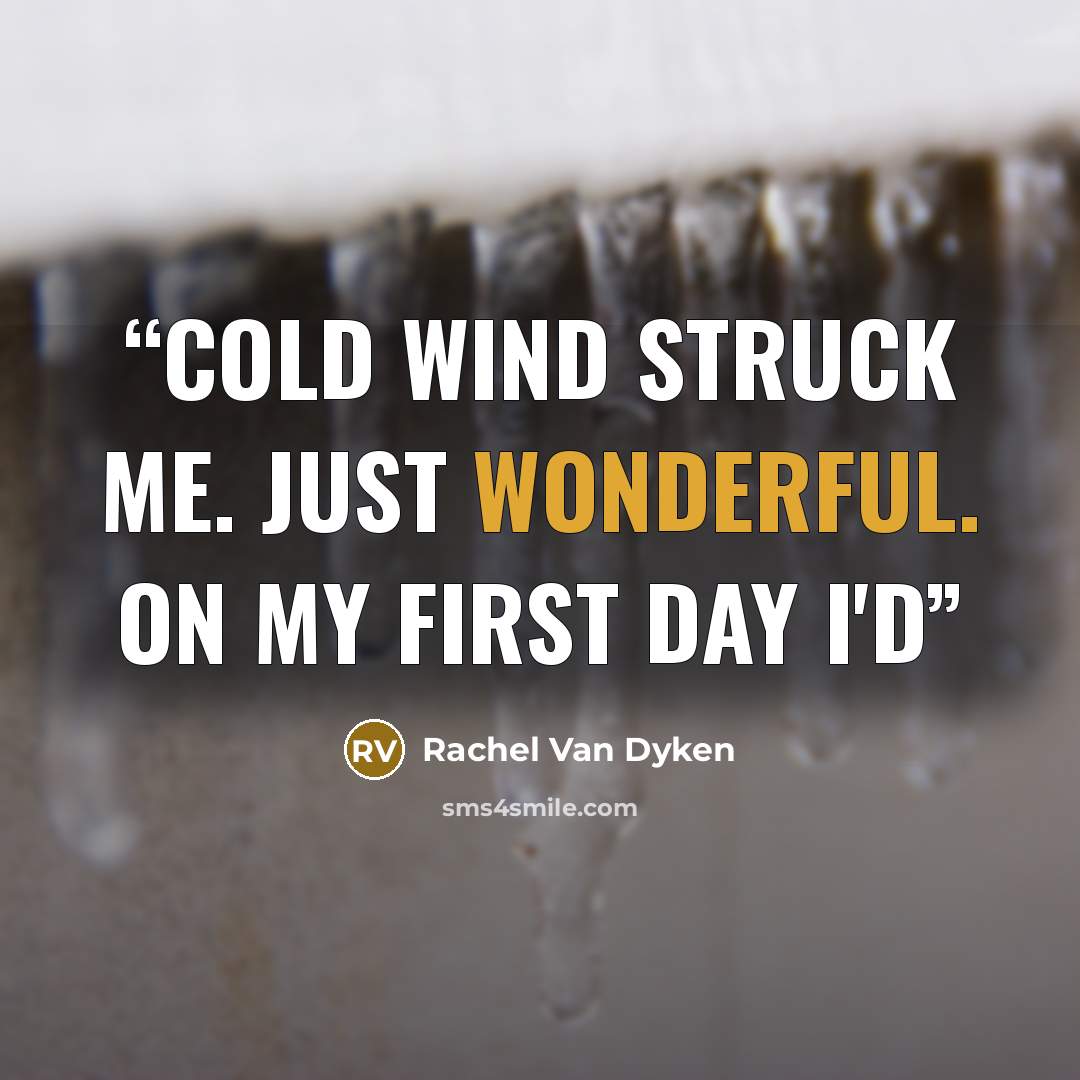 “cold wind struck me. Just wonderful. On my first day I'd” quote by Rachel Van Dyken
