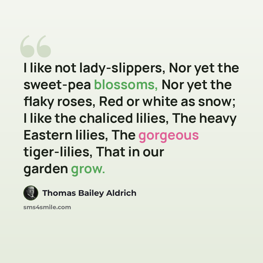 “I like not lady-slippers, Nor yet the sweet-pea blossoms, Nor yet the flaky roses, Red or white as snow; I like the chaliced lilies, The heavy Eastern lilies, The gorgeous tiger-lilies, That in our garden grow.” quote by Thomas Bailey Aldrich
