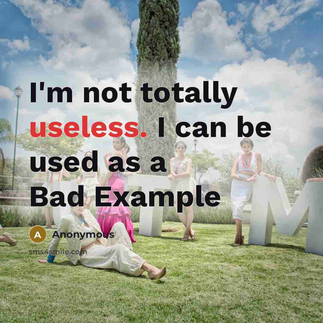 “I'm not totally useless. I can be used as a Bad Example” quote by Anonymous