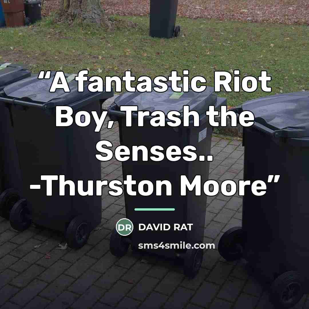 “A fantastic Riot Boy, Trash the Senses.. -Thurston Moore” quote by DAVID RAT