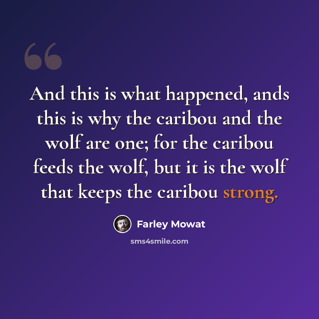 “And this is what happened, ands this is why the caribou and the wolf are one; for the caribou feeds the wolf, but it is the wolf that keeps the caribou strong.” quote by Farley Mowat