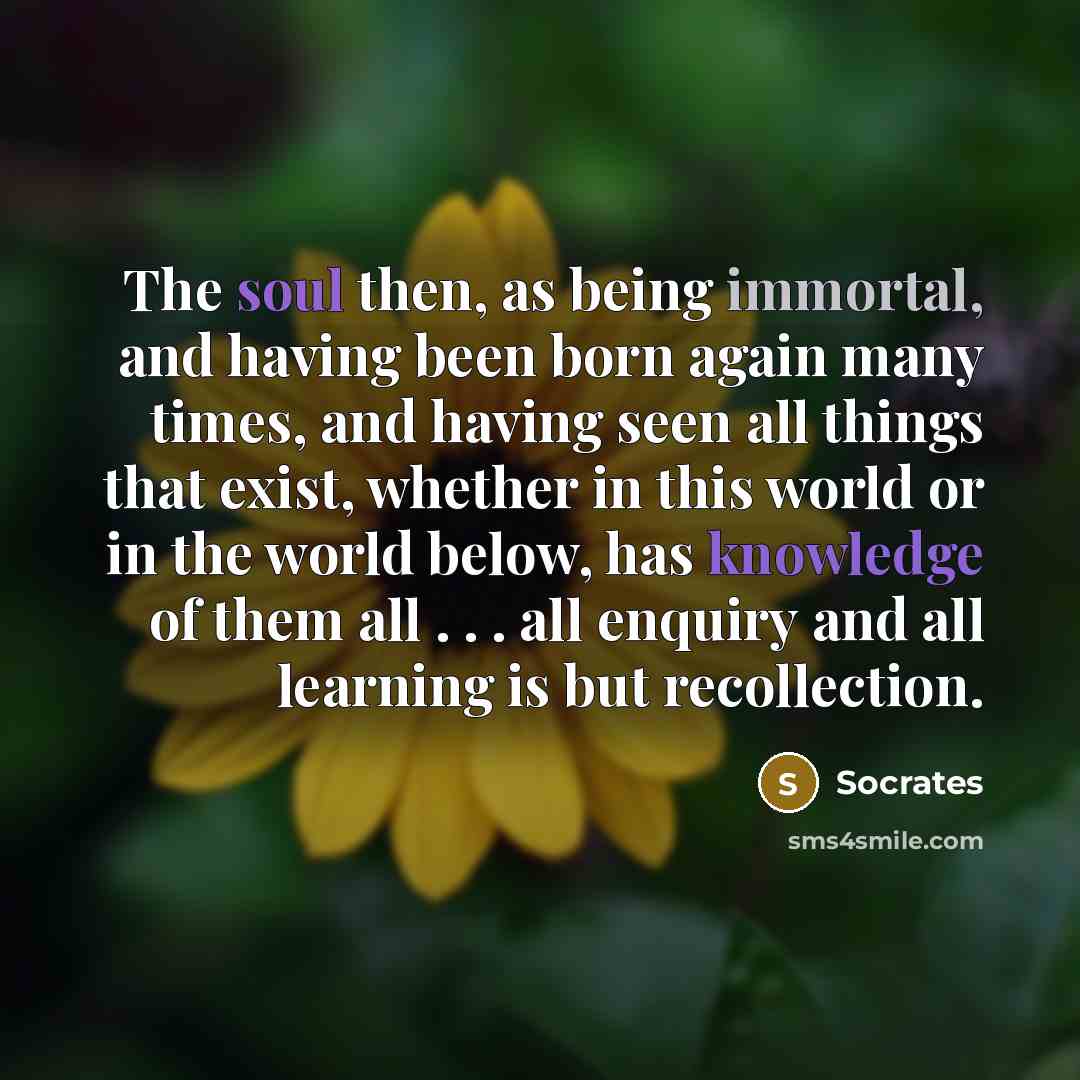 “The soul then, as being immortal, and having been born again many times, and having seen all things that exist, whether in this world or in the world below, has knowledge of them all . . . all enquiry and all learning is but recollection.” quote by Socrates