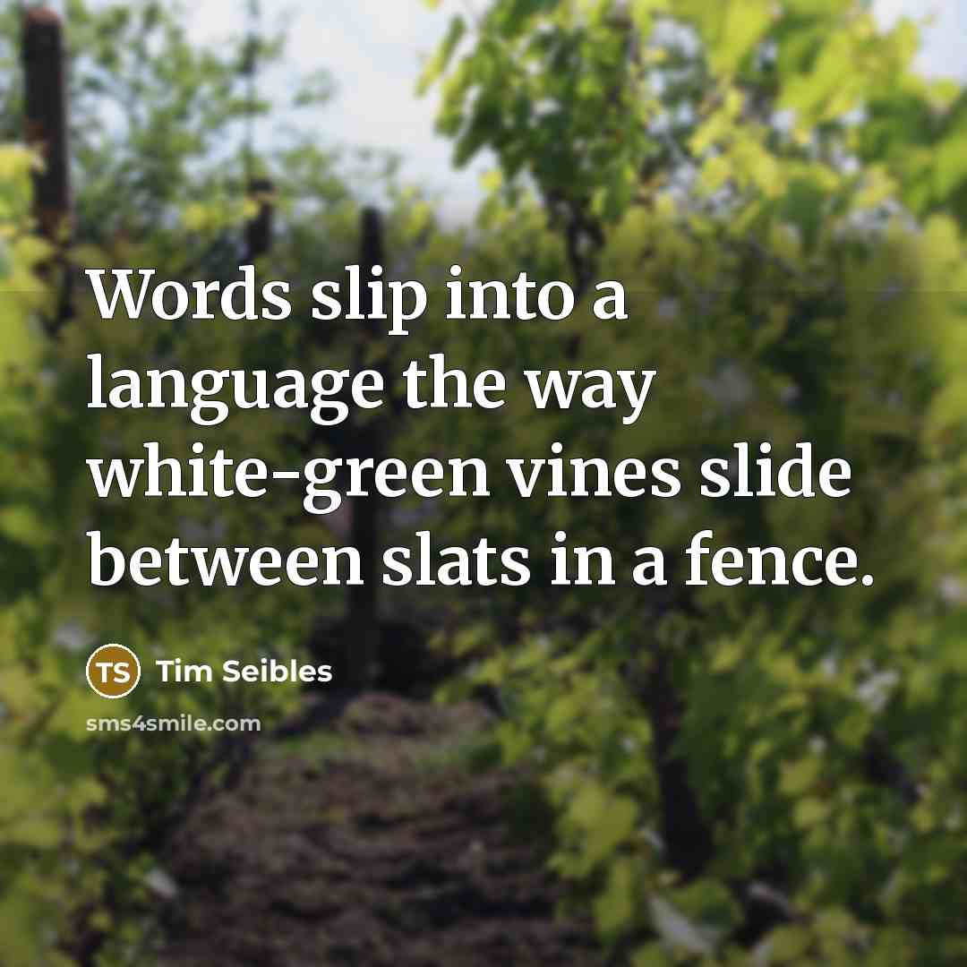 “Words slip into a language the way white-green vines slide between slats in a fence.” quote by Tim Seibles