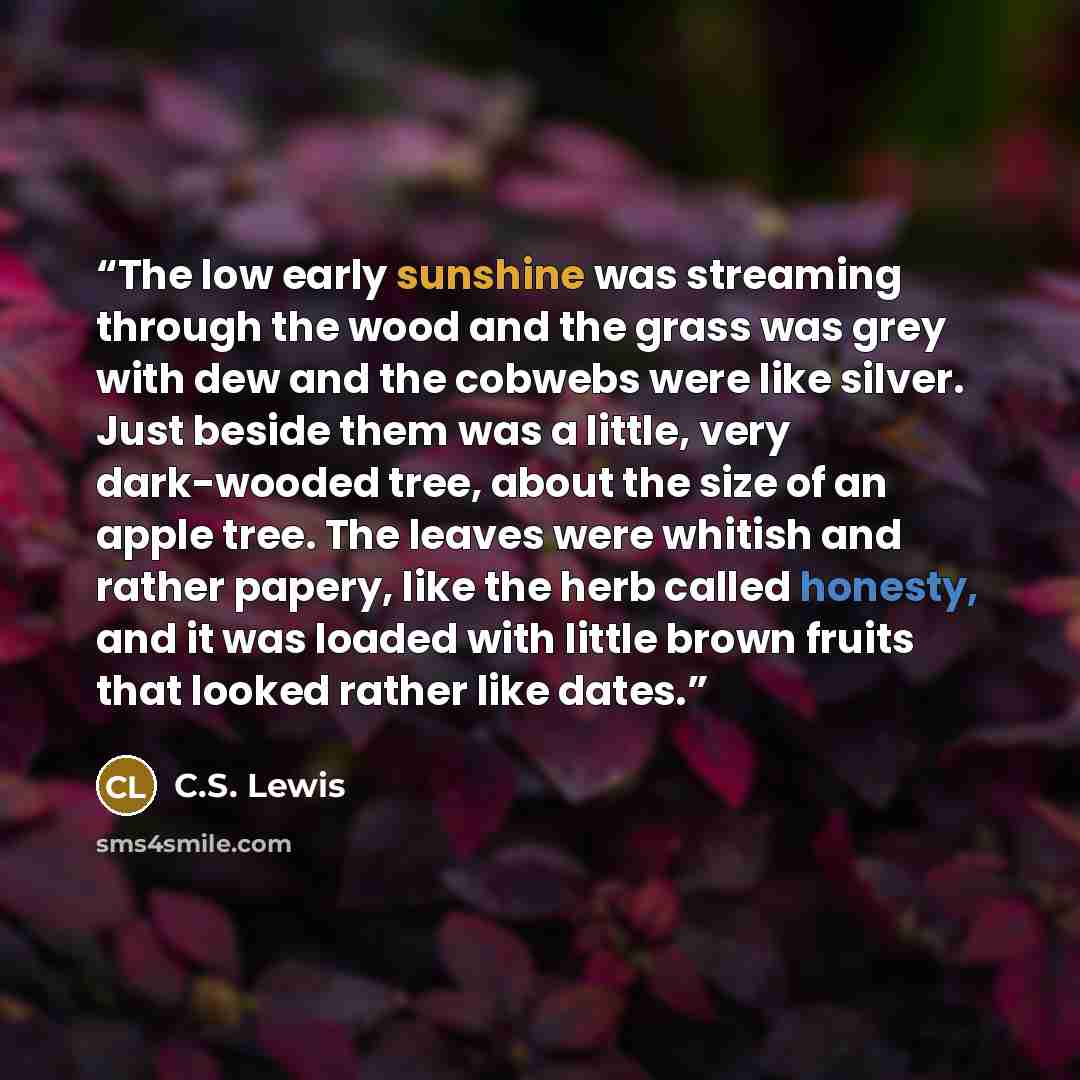 “The low early sunshine was streaming through the wood and the grass was grey with dew and the cobwebs were like silver. Just beside them was a little, very dark-wooded tree, about the size of an apple tree. The leaves were whitish and rather papery, like the herb called honesty, and it was loaded…” quote by C.S. Lewis