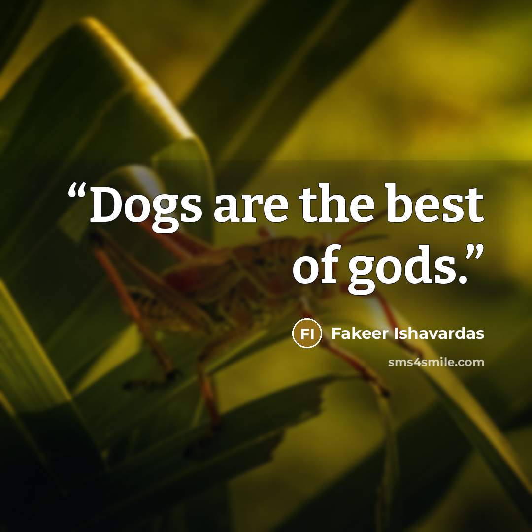 “Dogs are the best of gods.” quote by Fakeer Ishavardas