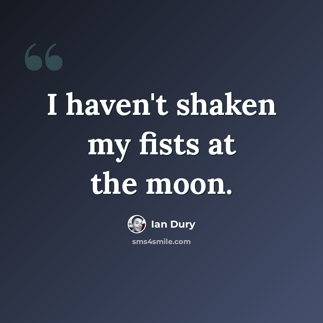 “I haven't shaken my fists at the moon.” quote by Ian Dury