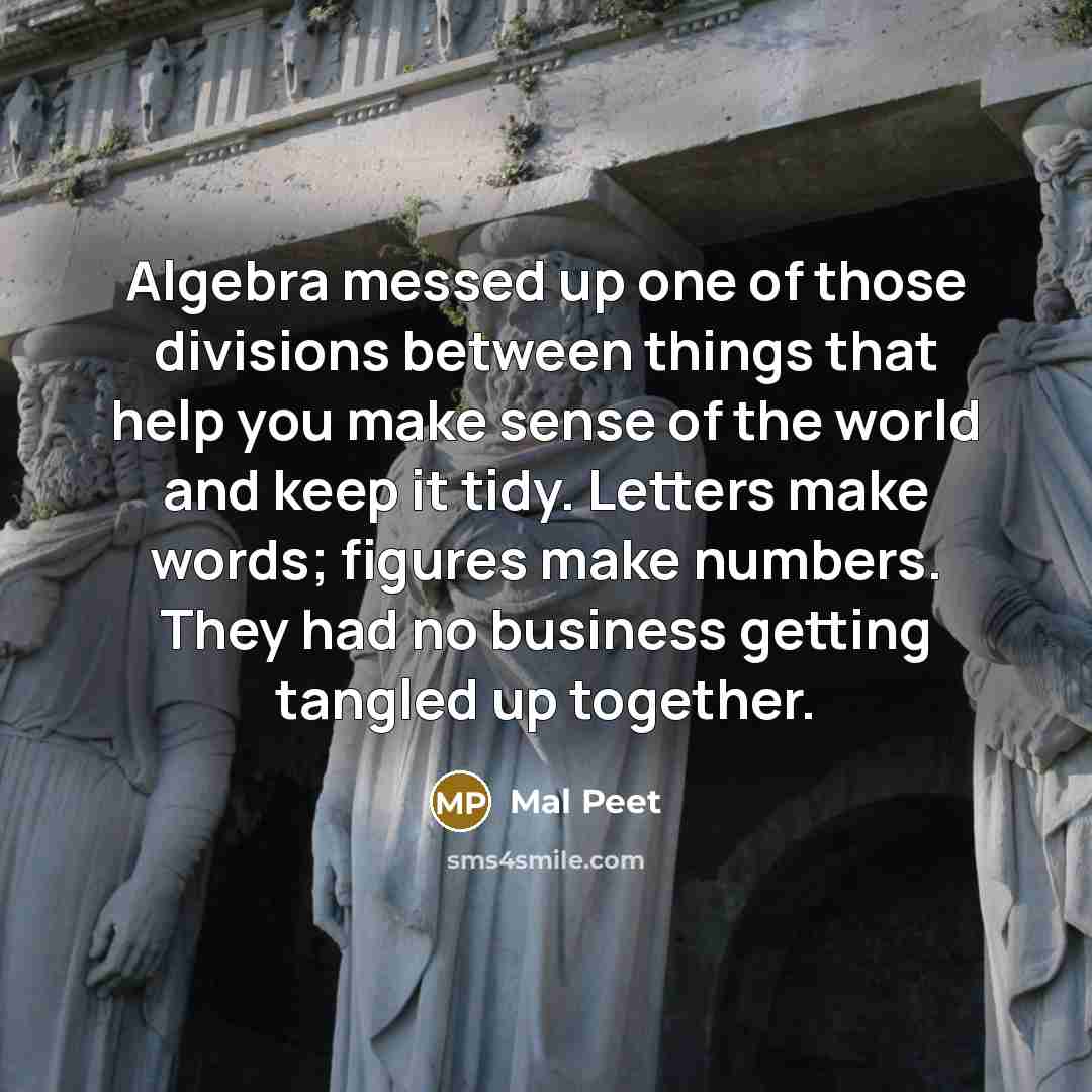 “Algebra messed up one of those divisions between things that help you make sense of the world and keep it tidy. Letters make words; figures make numbers. They had no business getting tangled up together.” quote by Mal Peet