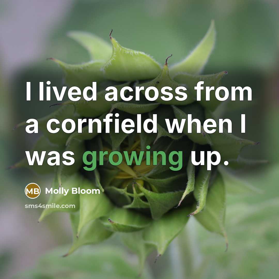 “I lived across from a cornfield when I was growing up.” quote by Molly Bloom