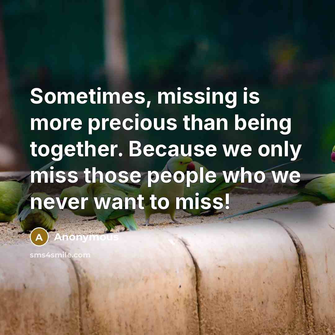 “Sometimes, missing is more precious than being together. Because we only miss those people who we never want to miss!” quote by Anonymous