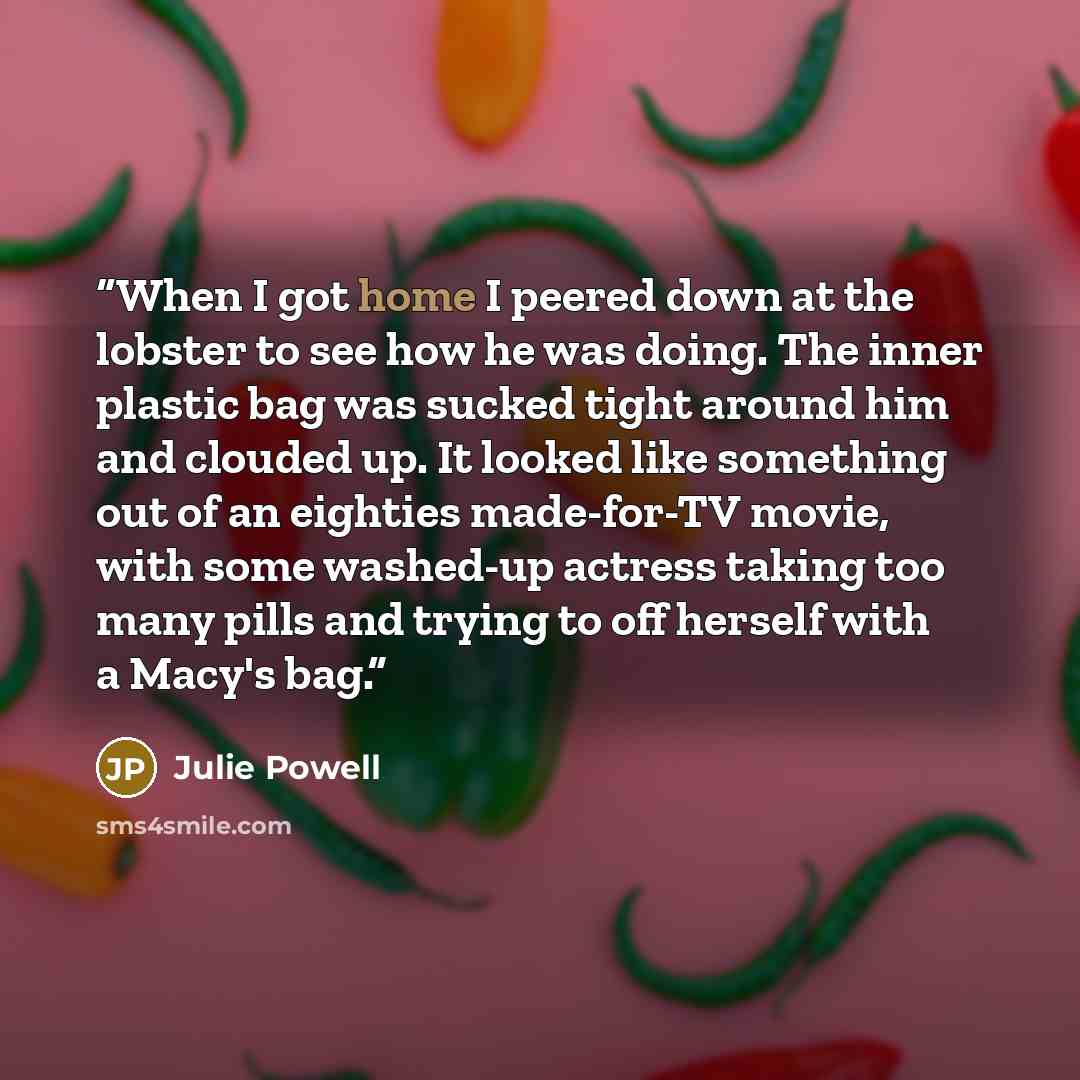 “When I got home I peered down at the lobster to see how he was doing. The inner plastic bag was sucked tight around him and clouded up. It looked like something out of an eighties made-for-TV movie, with some washed-up actress taking too many pills and trying to off herself with a Macy's bag.” quote by Julie Powell