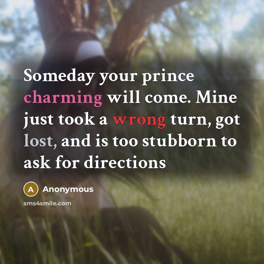 “Someday your prince charming will come. Mine just took a wrong turn, got lost, and is too stubborn to ask for directions” quote by Anonymous
