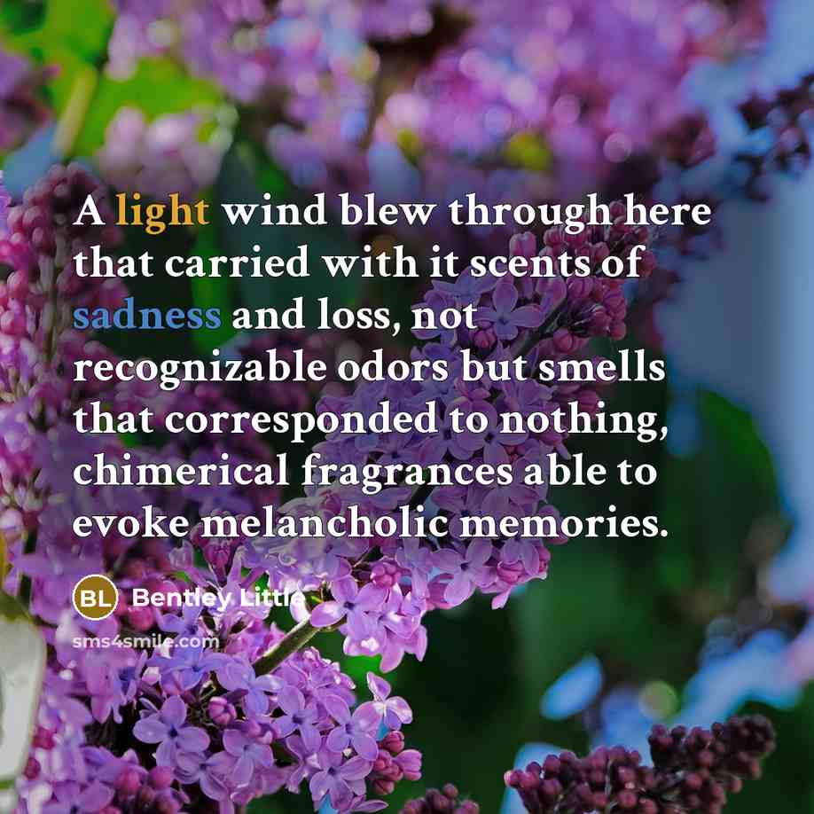 “A light wind blew through here that carried with it scents of sadness and loss, not recognizable odors but smells that corresponded to nothing, chimerical fragrances able to evoke melancholic memories.” quote by Bentley Little