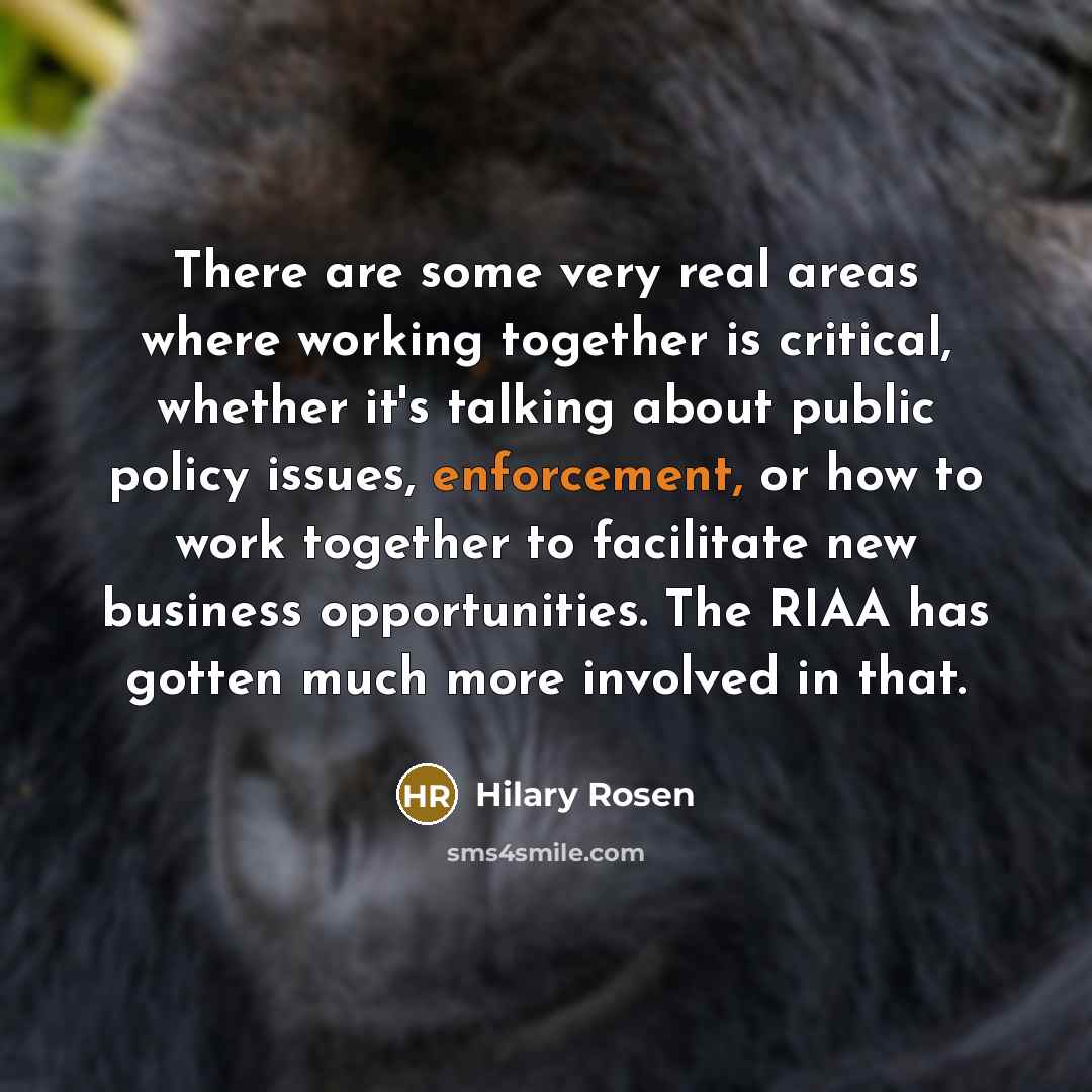 “There are some very real areas where working together is critical, whether it's talking about public policy issues, enforcement, or how to work together to facilitate new business opportunities. The RIAA has gotten much more involved in that.” quote by Hilary Rosen