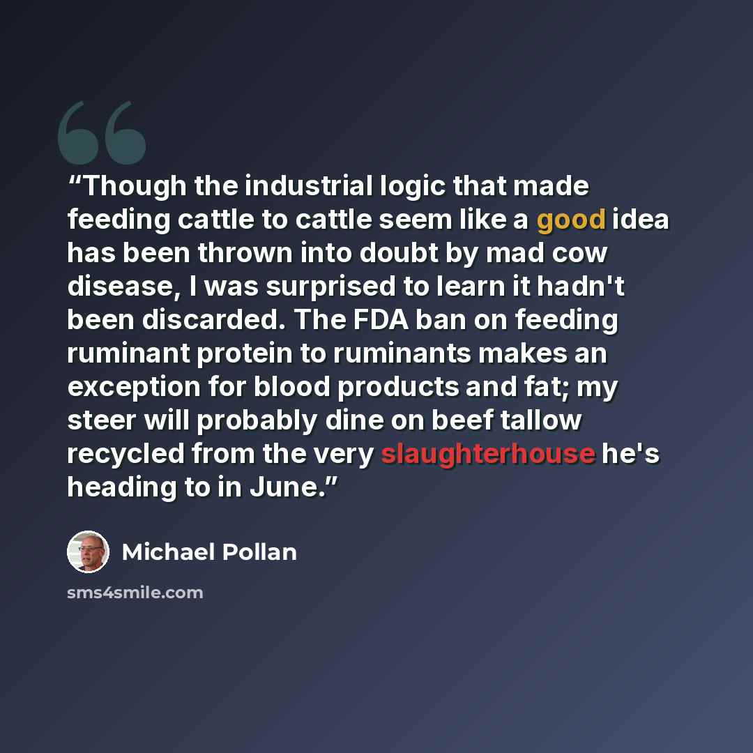 “Though the industrial logic that made feeding cattle to cattle seem like a good idea has been thrown into doubt by mad cow disease, I was surprised to learn it hadn't been discarded. The FDA ban on feeding ruminant protein to ruminants makes an exception for blood products and fat; my steer will…” quote by Michael Pollan