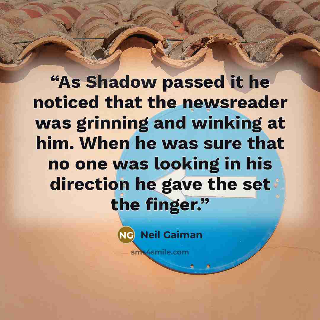 “As Shadow passed it he noticed that the newsreader was grinning and winking at him. When he was sure that no one was looking in his direction he gave the set the finger.” quote by Neil Gaiman